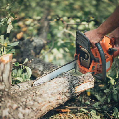 Chainsaw Chain Clearance | .325" Pitch .050" Gauge  From 62-78 Drive Links (Fit For 16"- 20" Guide Bar) (3 Pack)